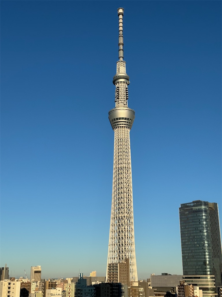 f:id:yayayahohoho:20240124073233j:image