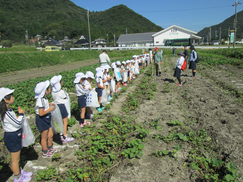 f:id:yayoi-blog:20161007183122j:plain