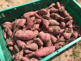 f:id:yayoi-blog:20171004150653j:plain f:id:yayoi-blog:20171004150653j:plain