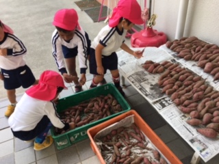 f:id:yayoi-blog:20171004150659j:plain f:id:yayoi-blog:20171004150659j:plain