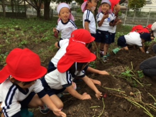 f:id:yayoi-blog:20171004150714j:plain f:id:yayoi-blog:20171004150714j:plain