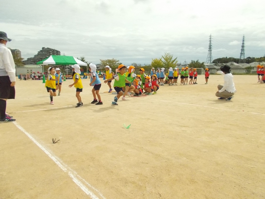 f:id:yayoi-blog:20180926190022j:plain f:id:yayoi-blog:20180926190022j:plain