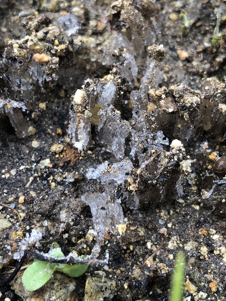 f:id:yayoi-blog:20190117164422j:plain