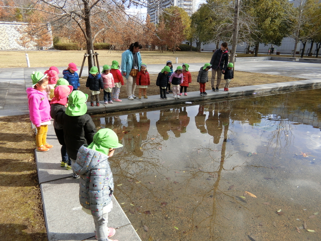 f:id:yayoi-blog:20190124184503j:plain