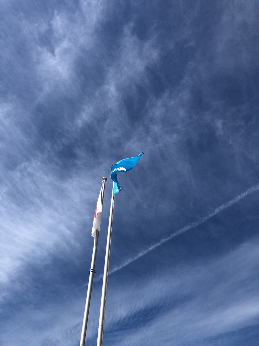 f:id:yayoi-blog:20190920154037j:plain