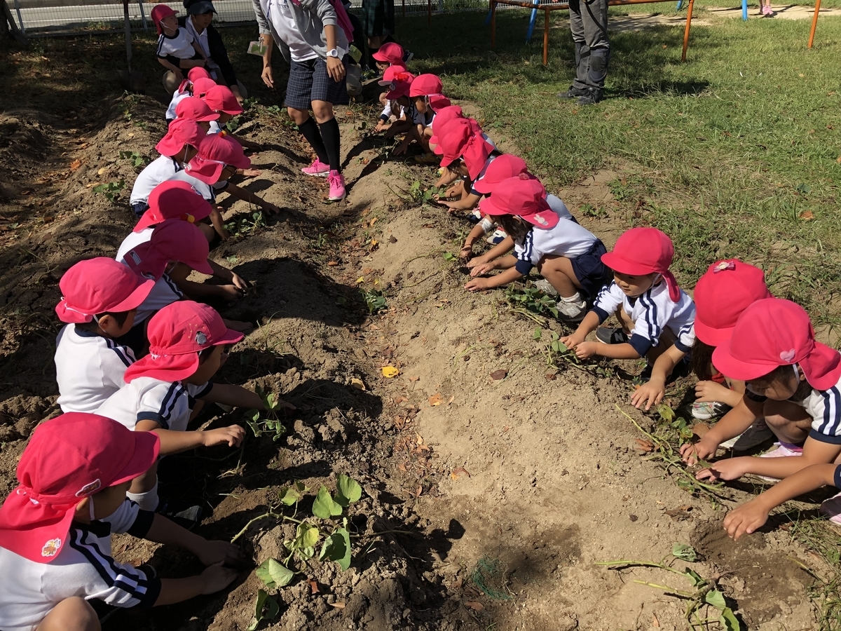 f:id:yayoi-blog:20191009130206j:plain