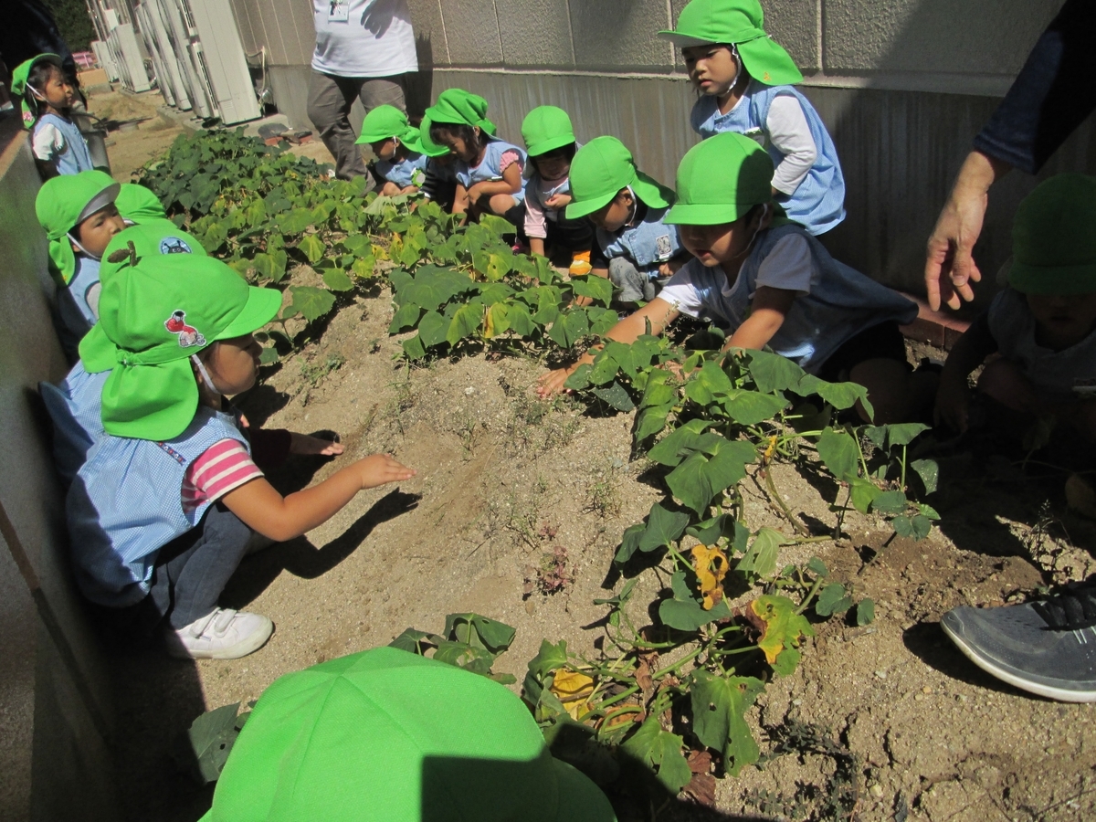 f:id:yayoi-blog:20191009154002j:plain