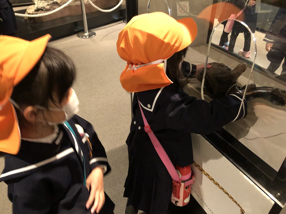 f:id:yayoi-blog:20200226102642j:plain f:id:yayoi-blog:20200226102642j:plain