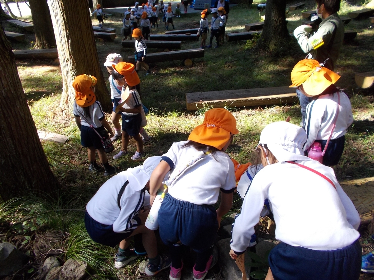 f:id:yayoi-blog:20201020182117j:plain