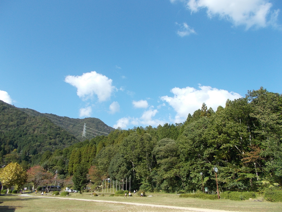 f:id:yayoi-blog:20201020183103j:plain