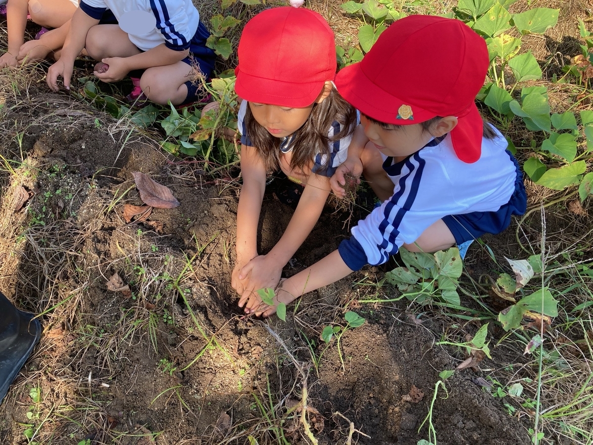 f:id:yayoi-blog:20201021153454j:plain