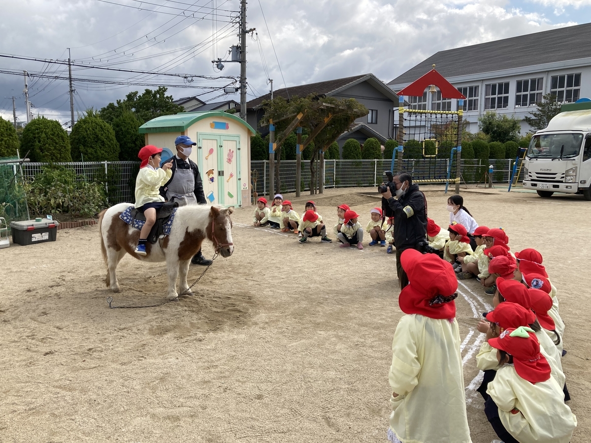 f:id:yayoi-blog:20201030175417j:plain f:id:yayoi-blog:20201030175417j:plain