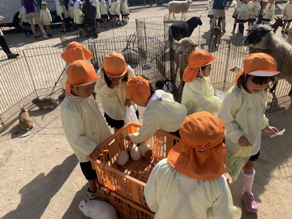 f:id:yayoi-blog:20201030175431j:plain f:id:yayoi-blog:20201030175431j:plain