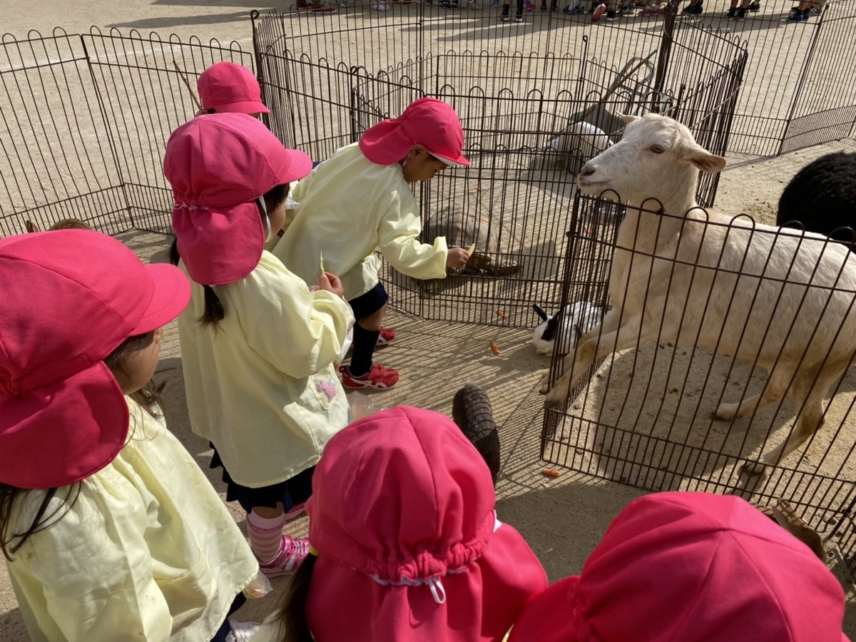 f:id:yayoi-blog:20201030175438j:plain f:id:yayoi-blog:20201030175438j:plain