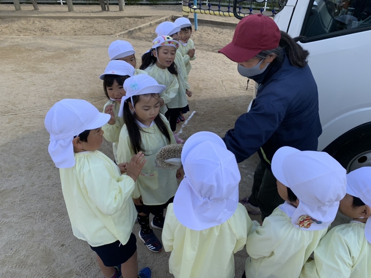 f:id:yayoi-blog:20201030180915j:plain f:id:yayoi-blog:20201030180915j:plain