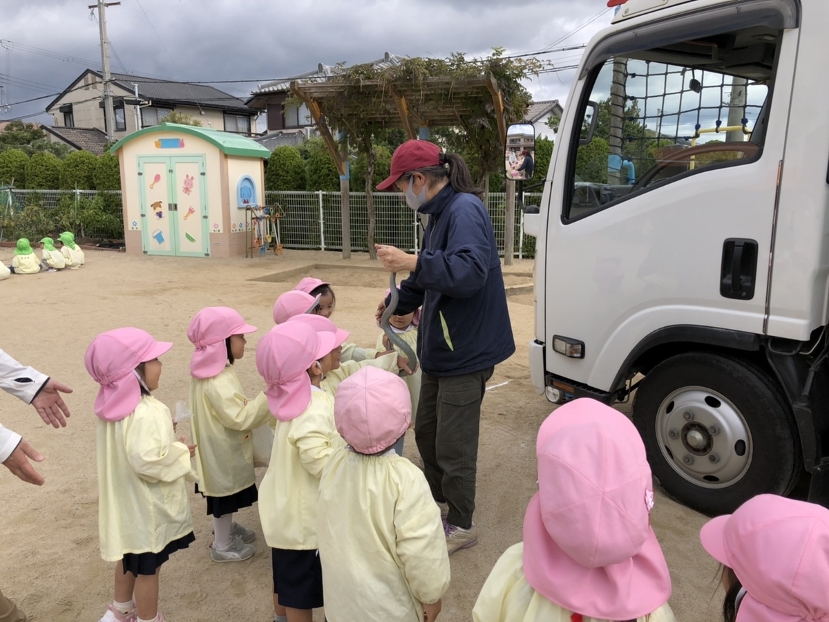 f:id:yayoi-blog:20201030181143j:plain f:id:yayoi-blog:20201030181143j:plain