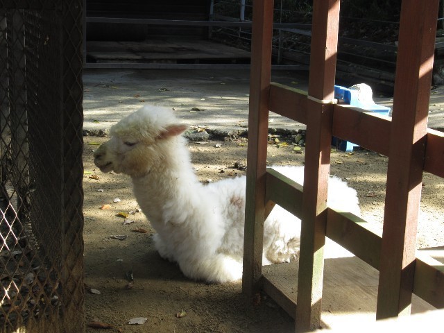 f:id:yayoi-k:20171206141635j:image f:id:yayoi-k:20171206141635j:image