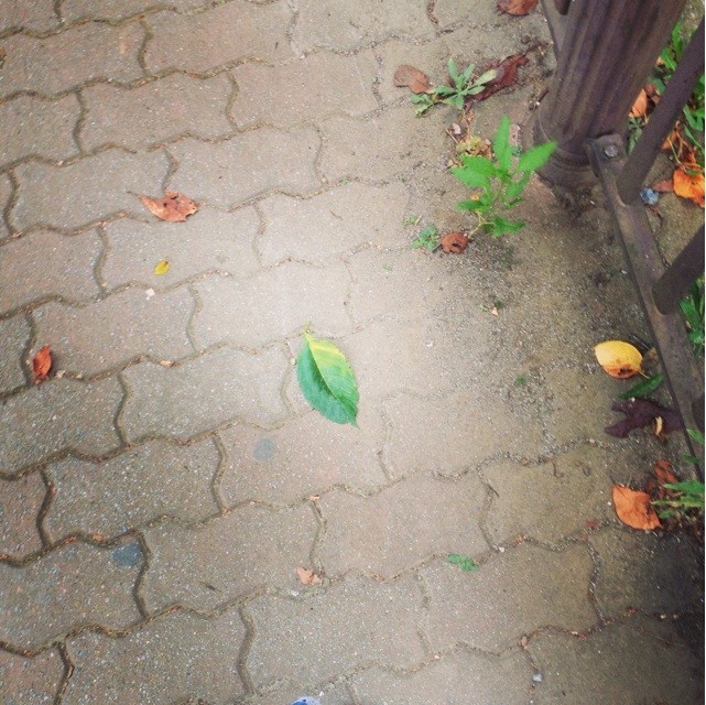 f:id:yayoi-k:20181229071343j:plain