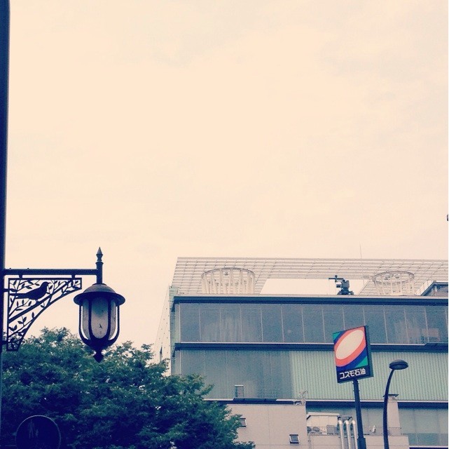 f:id:yayoi-k:20181229103230j:plain