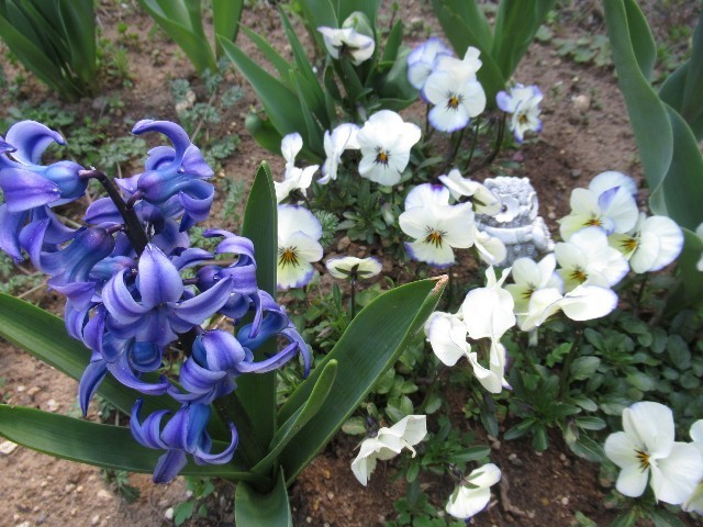 f:id:yayoi-k:20190406144808j:plain f:id:yayoi-k:20190406144808j:plain