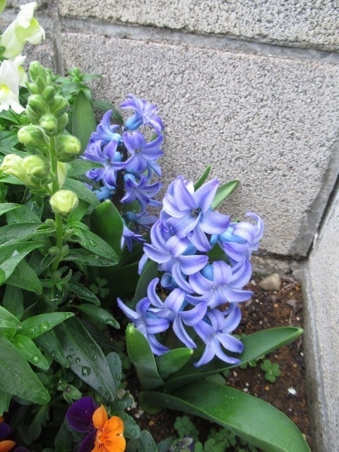 f:id:yayoi-k:20190406172948j:plain f:id:yayoi-k:20190406172948j:plain