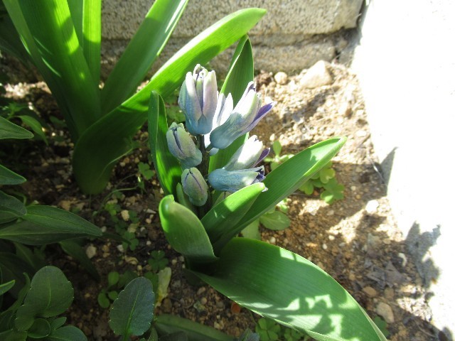 f:id:yayoi-k:20190406184209j:plain f:id:yayoi-k:20190406184209j:plain