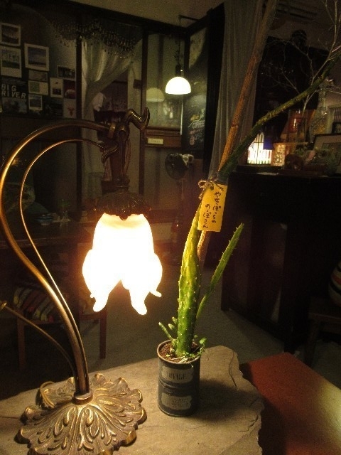 f:id:yayoi-k:20191106204155j:plain f:id:yayoi-k:20191106204155j:plain