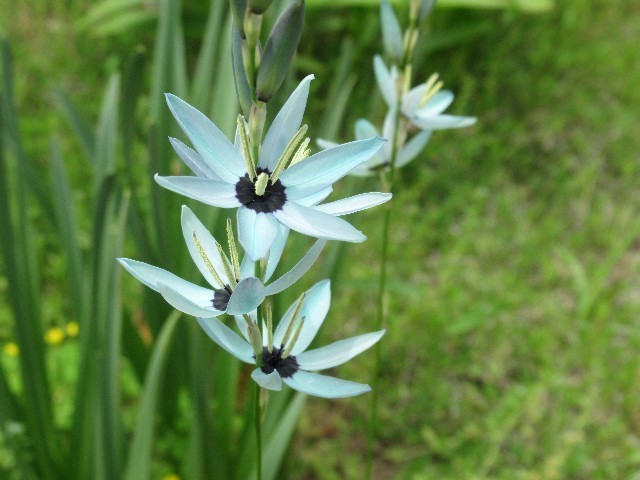 f:id:yayoi-k:20200524135416j:image f:id:yayoi-k:20200524135416j:image