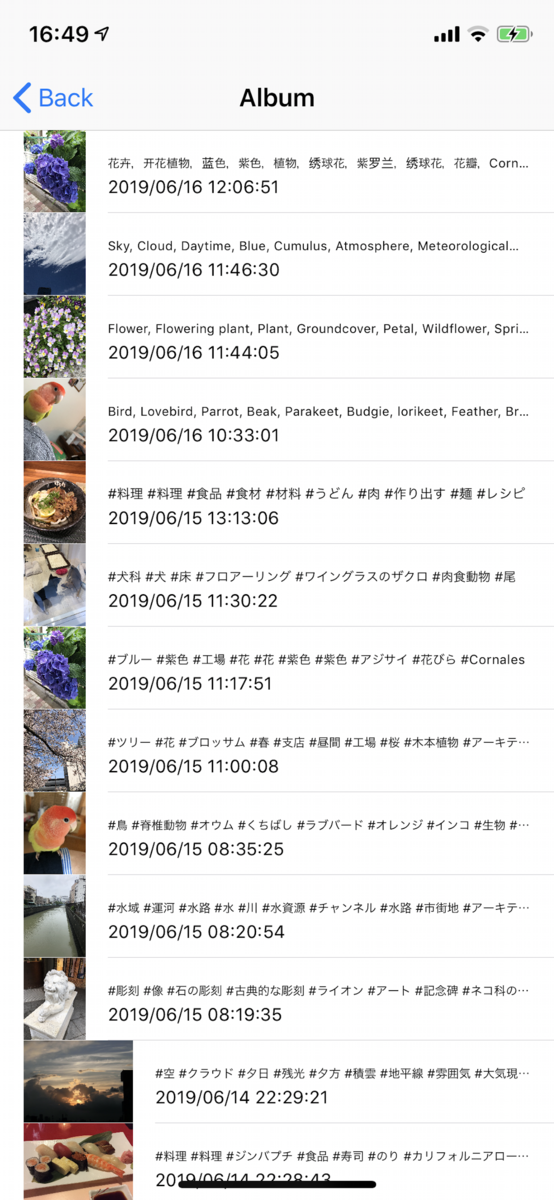 f:id:yayoi-taka:20190619054220p:plain f:id:yayoi-taka:20190619054220p:plain