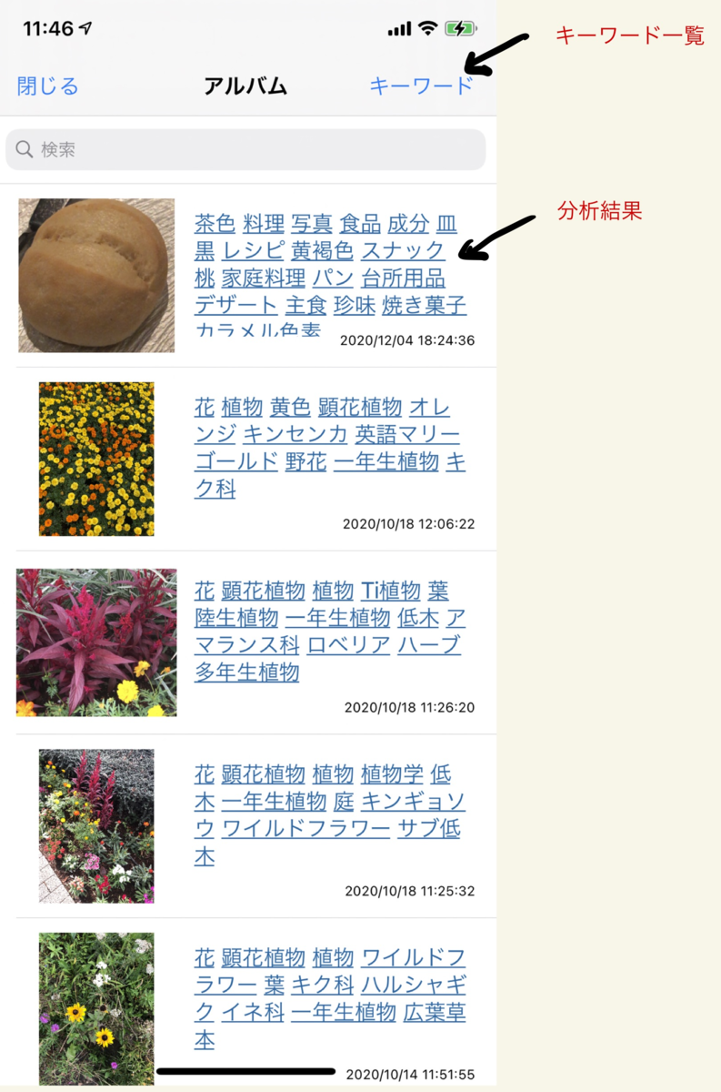 f:id:yayoi-taka:20201220135715p:plain