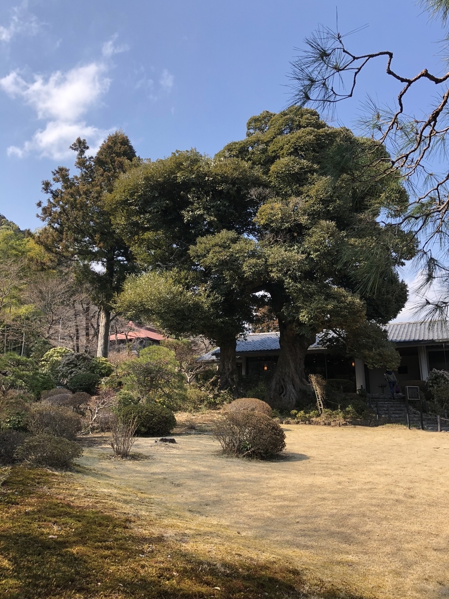 f:id:yayoi-tech:20190322115750j:plain