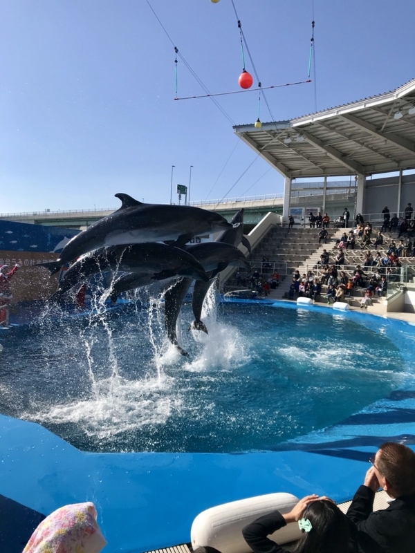 f:id:yayoi50:20171113130628j:plain f:id:yayoi50:20171113130628j:plain