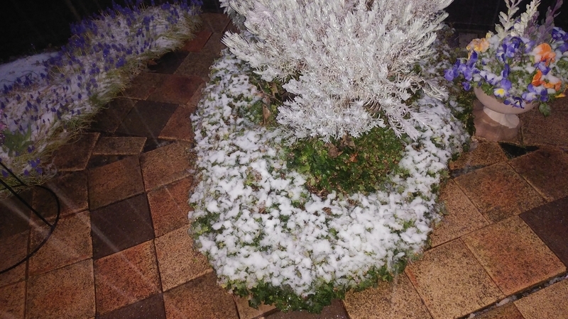 f:id:yayoi50:20190330181512j:plain f:id:yayoi50:20190330181512j:plain