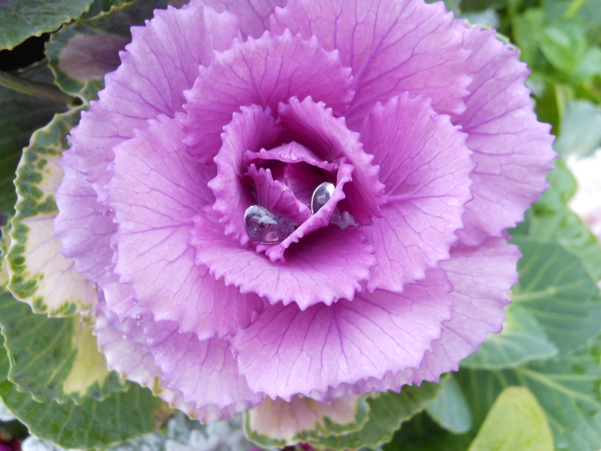 f:id:yayoi50:20191202142305j:plain f:id:yayoi50:20191202142305j:plain