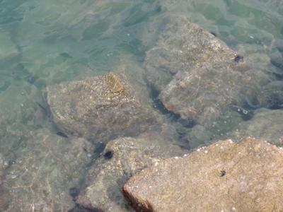 f:id:yayoi_international:20111024123147j:image:w360 f:id:yayoi_international:20111024123147j:image:w360