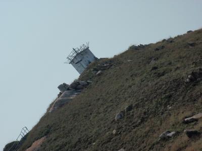 f:id:yayoi_international:20111024123345j:image:w360