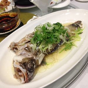 f:id:yayoi_international:20150609195543j:image:w360