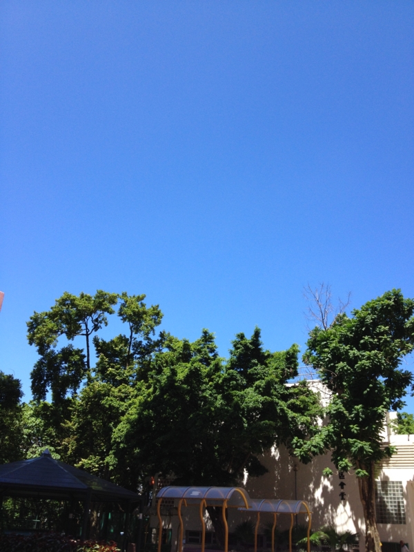 f:id:yayoi_international:20160728141311j:image:w360