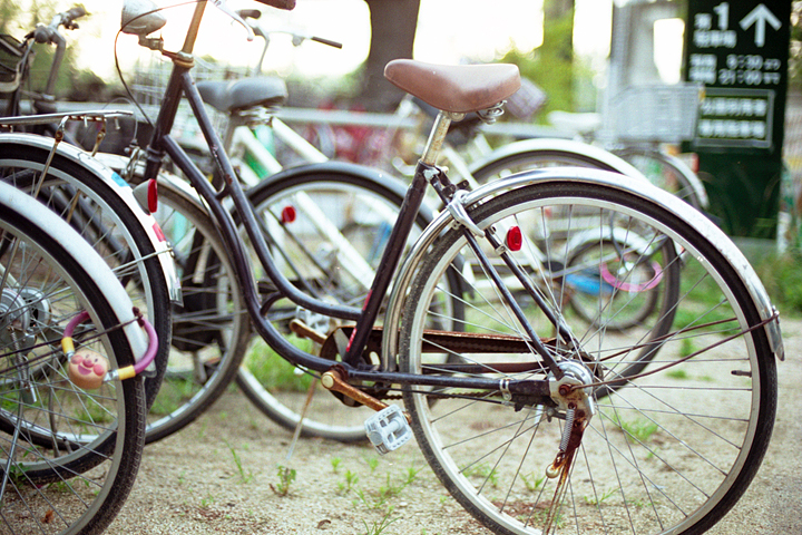 f:id:yayoihigashi202:20100727005200j:image f:id:yayoihigashi202:20100727005200j:image