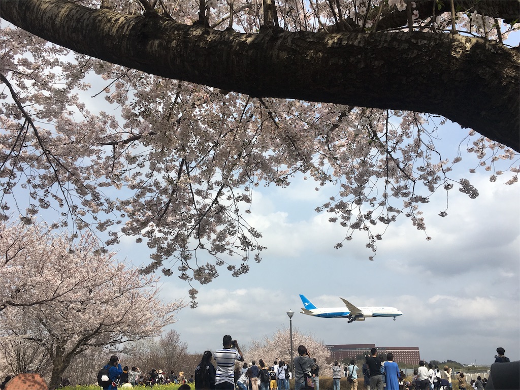 f:id:yayopg:20190414231358j:plain