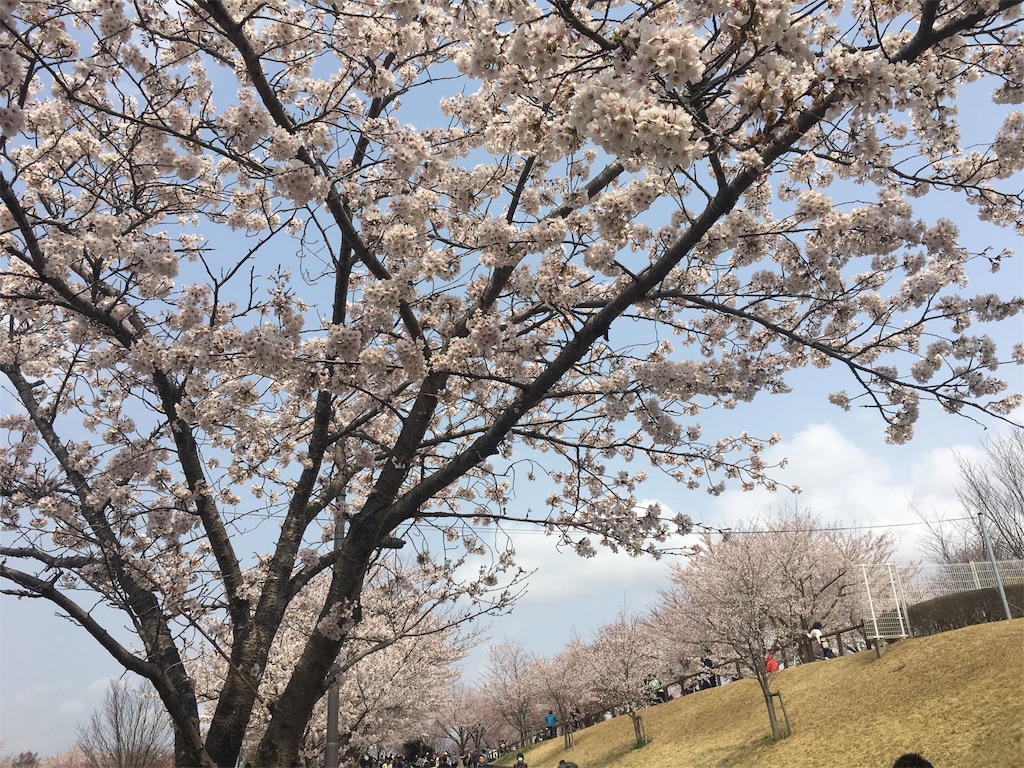 f:id:yayopg:20190414231406j:plain
