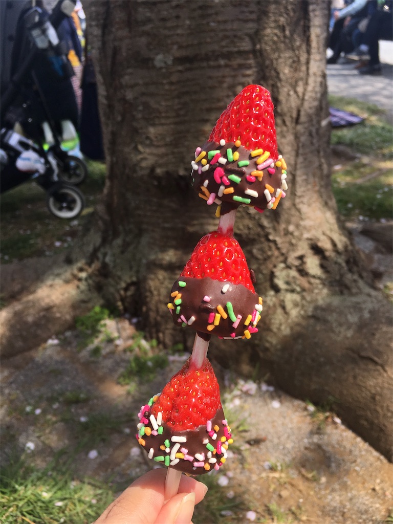 f:id:yayopg:20190414231412j:plain