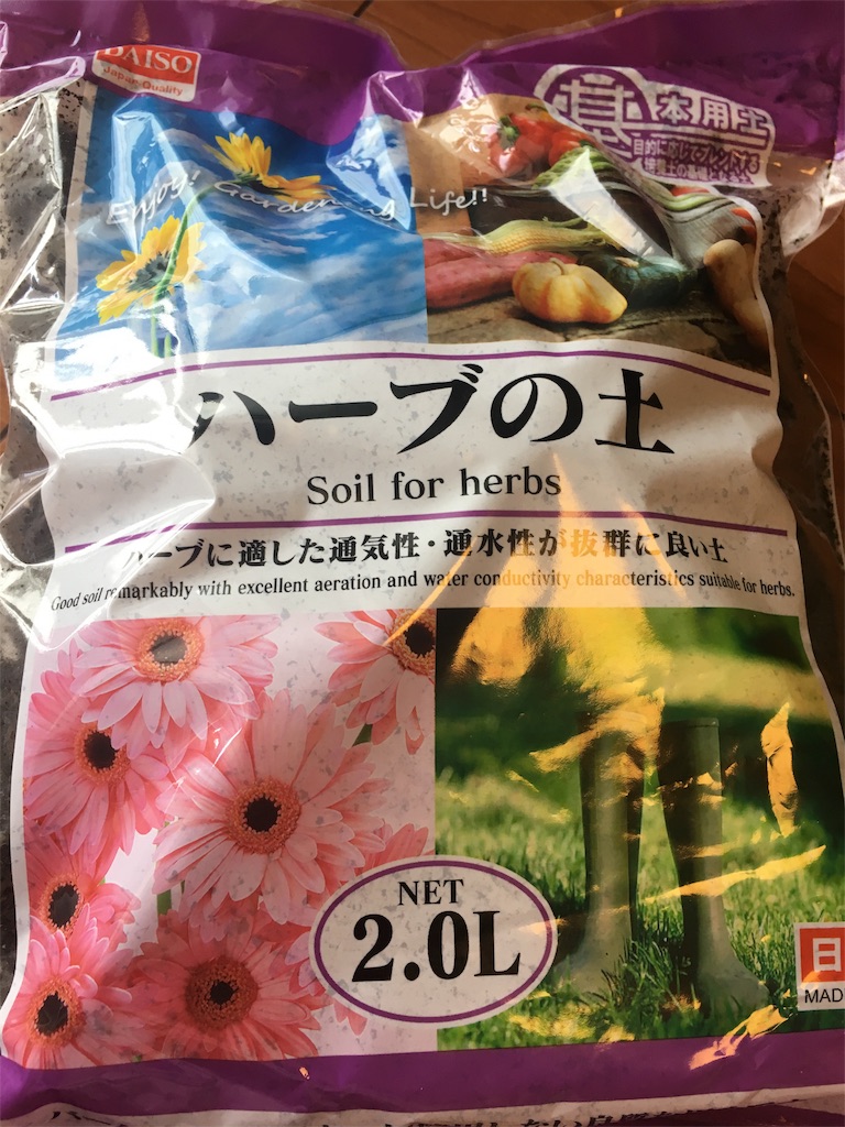 f:id:yayopg:20190512171502j:plain