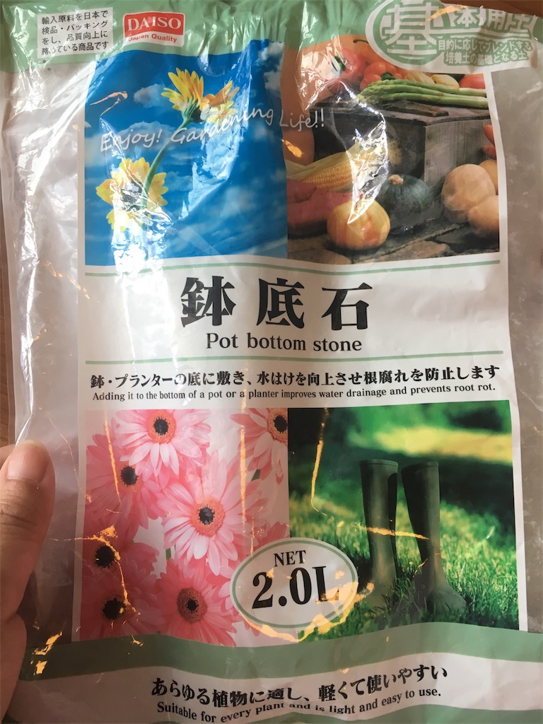 f:id:yayopg:20190512171508j:plain
