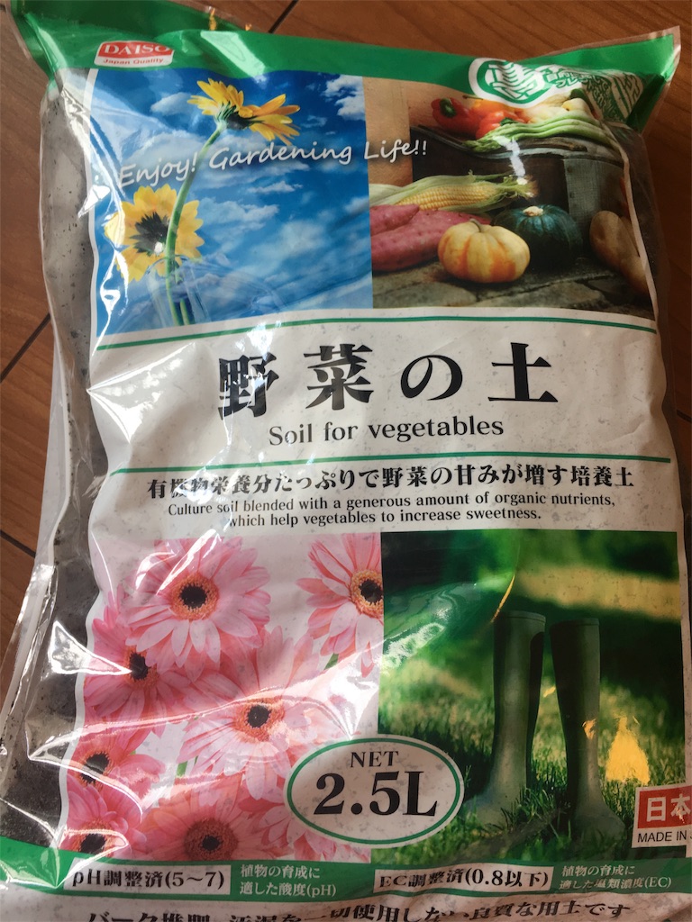 f:id:yayopg:20190512171546j:plain