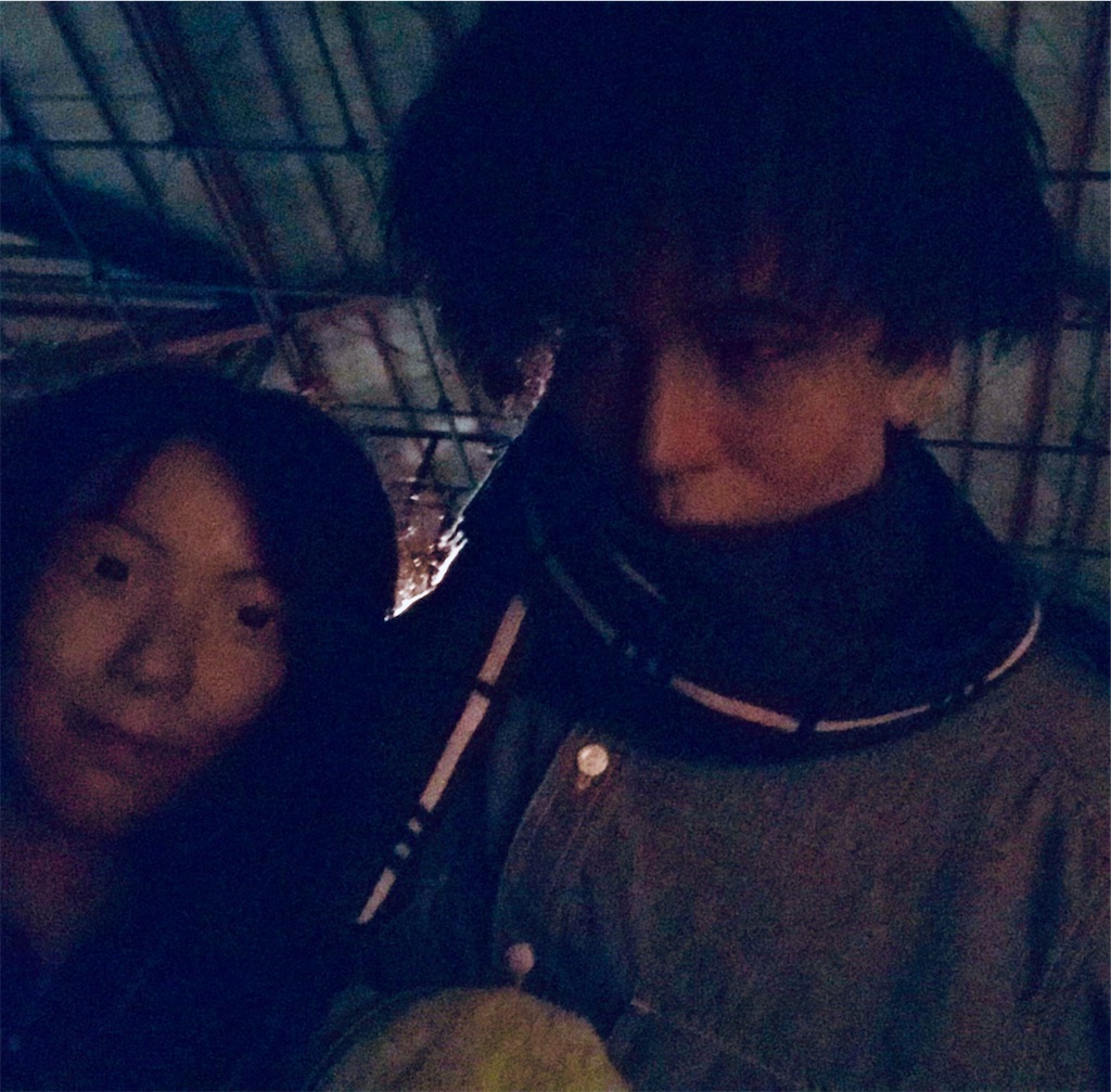 f:id:yazibee:20190324211621j:image