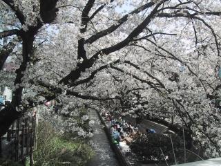 f:id:yazka:20050410135407:image f:id:yazka:20050410135407:image