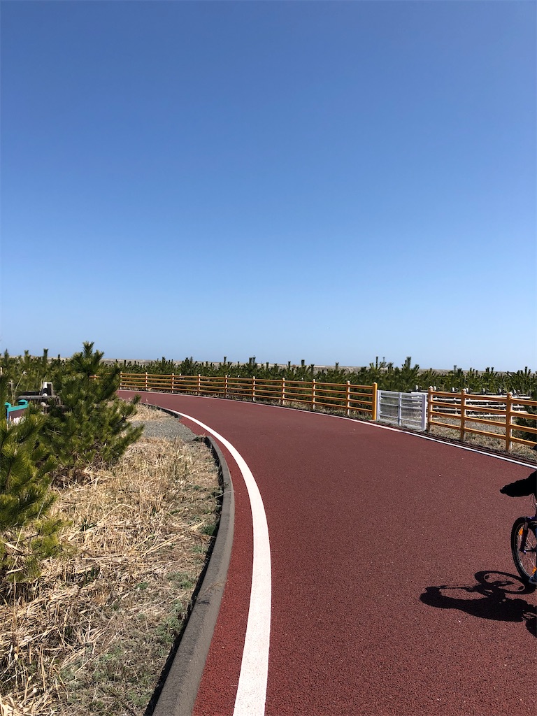 f:id:yb-hal:20220409152637j:image f:id:yb-hal:20220409152637j:image