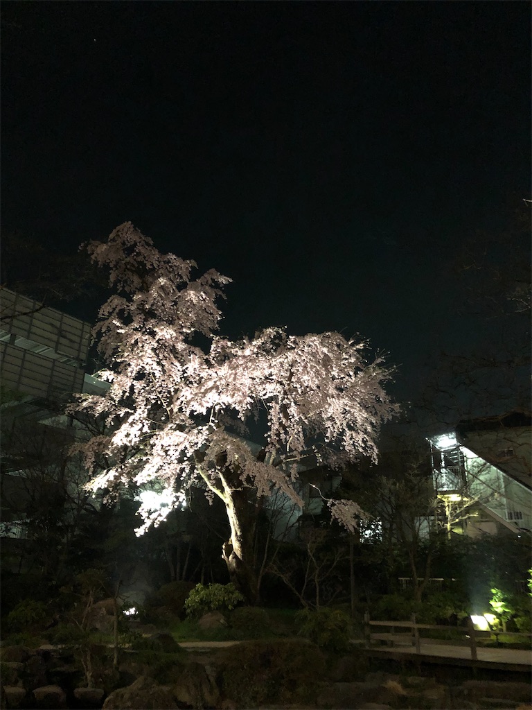 f:id:yb-hal:20220412224233j:image