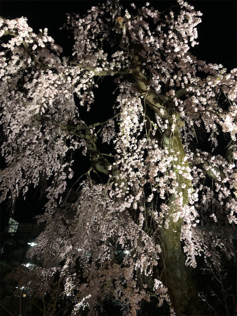 f:id:yb-hal:20220412224235j:image